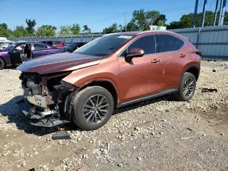 LEXUS NX 350H 2025