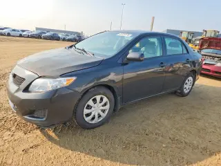TOYOTA COROLLA 2010